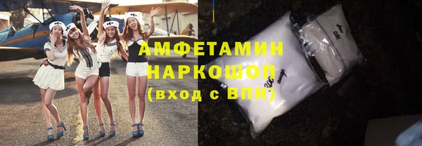 индика Козельск
