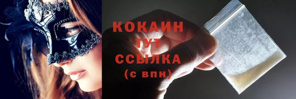 стаф Корсаков