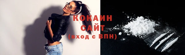 стаф Корсаков