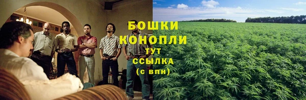 стаф Корсаков