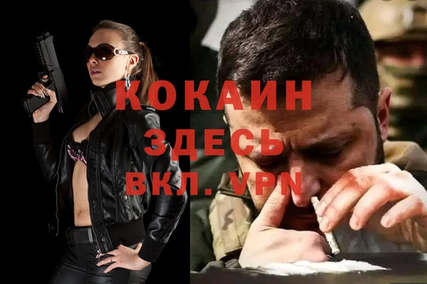 индика Кулебаки