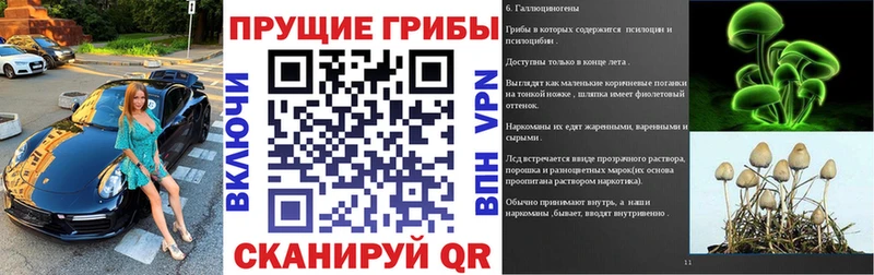 Псилоцибиновые грибы ЛСД  дарнет шоп  Тимашёвск 